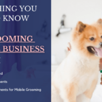 Everything you need to know about Pet grooming Service Business in Dubai